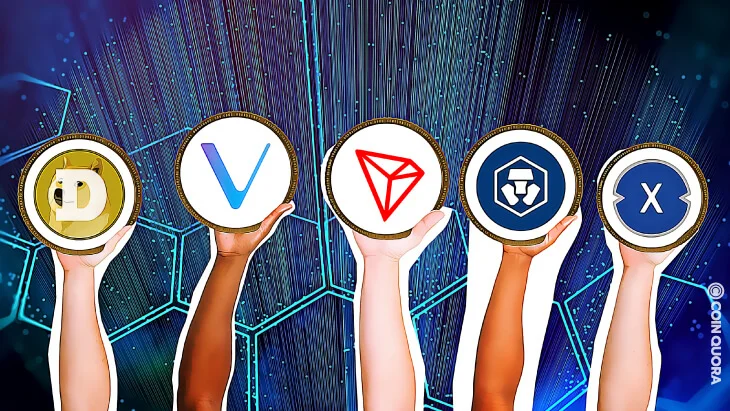 How do I invest in Altcoins?