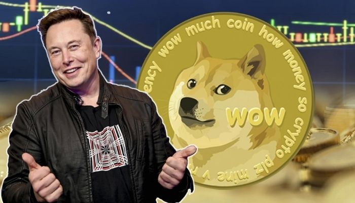 What is Dogecoin
