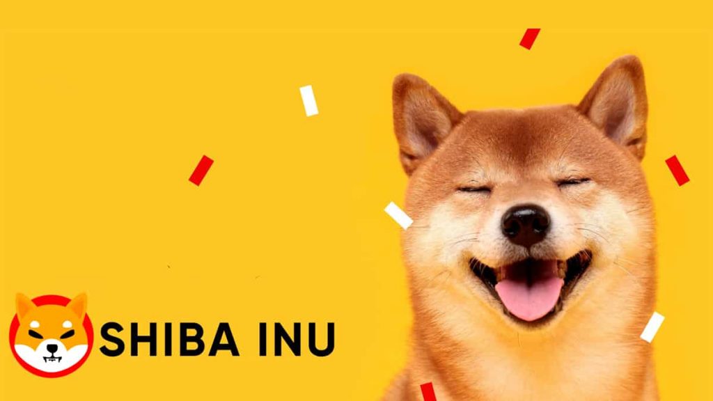 What will Shiba Inu coin be worth?
