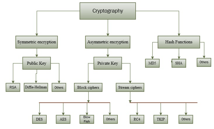 How many types of cryptography are there?
