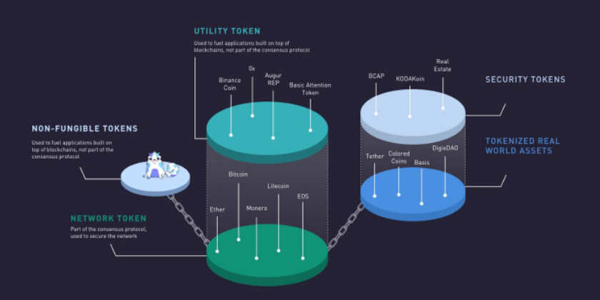 What is the easiest crypto app to use?
