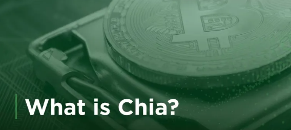 Is Chia profitable?
