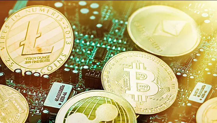 Does the Chia coin fail?
