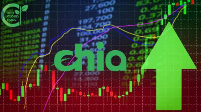 Can I make money with the Chia coin?
