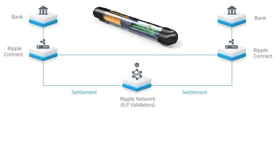What is XRP and how does it work?
