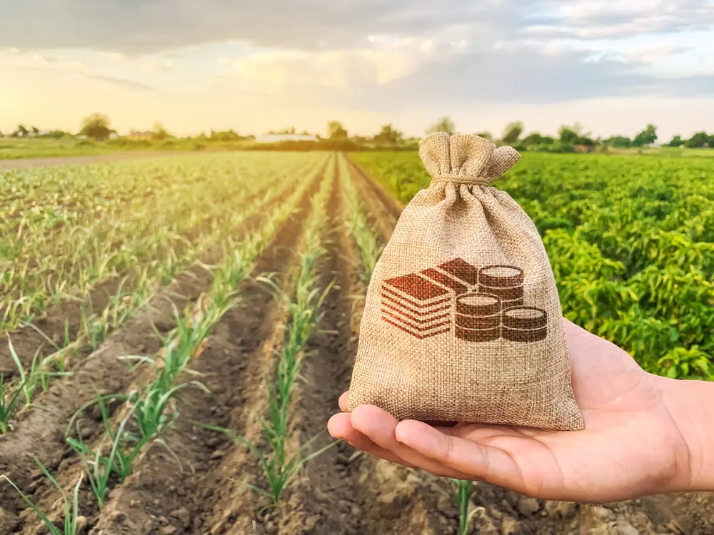 Is crypto farming profitable?

