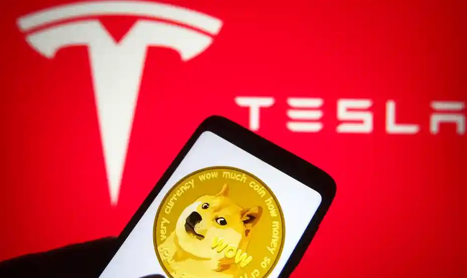 Why does Elon Musk support Dogecoin?
