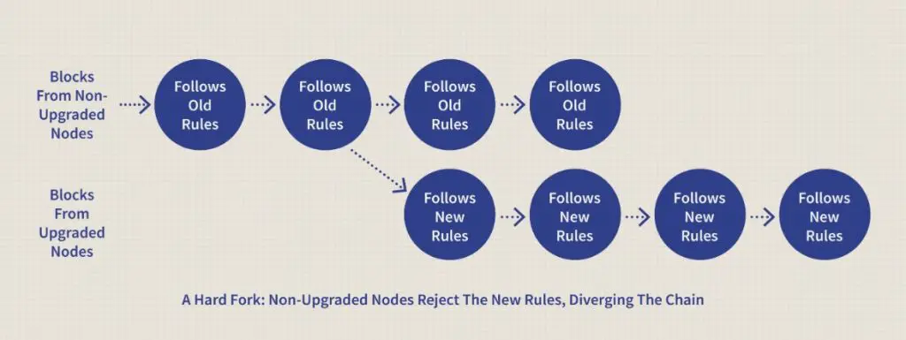 What are two types of forks?