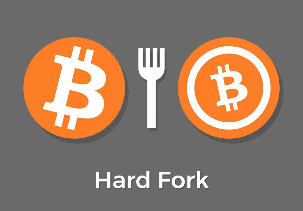 What is a branched token? hard fork and soft fork