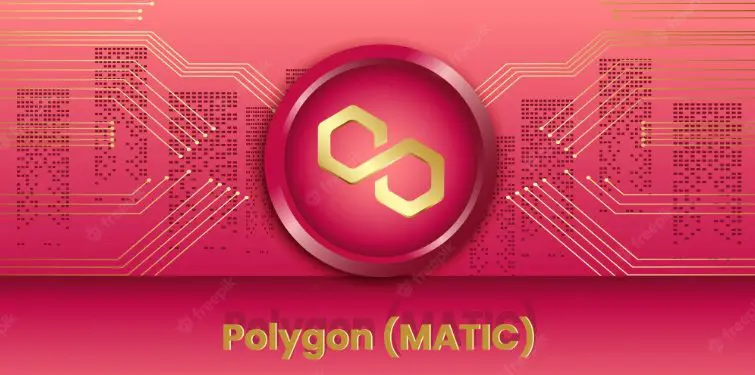 How much is a Polygon coin worth?
