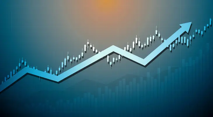 What are the risks of margin trading?
