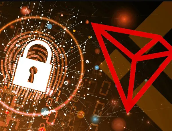 What is total blocked value in decentralized finance?