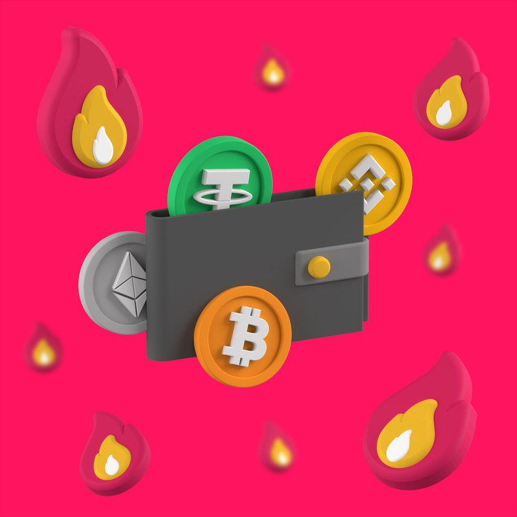 What is in a cryptocurrency wallet?

