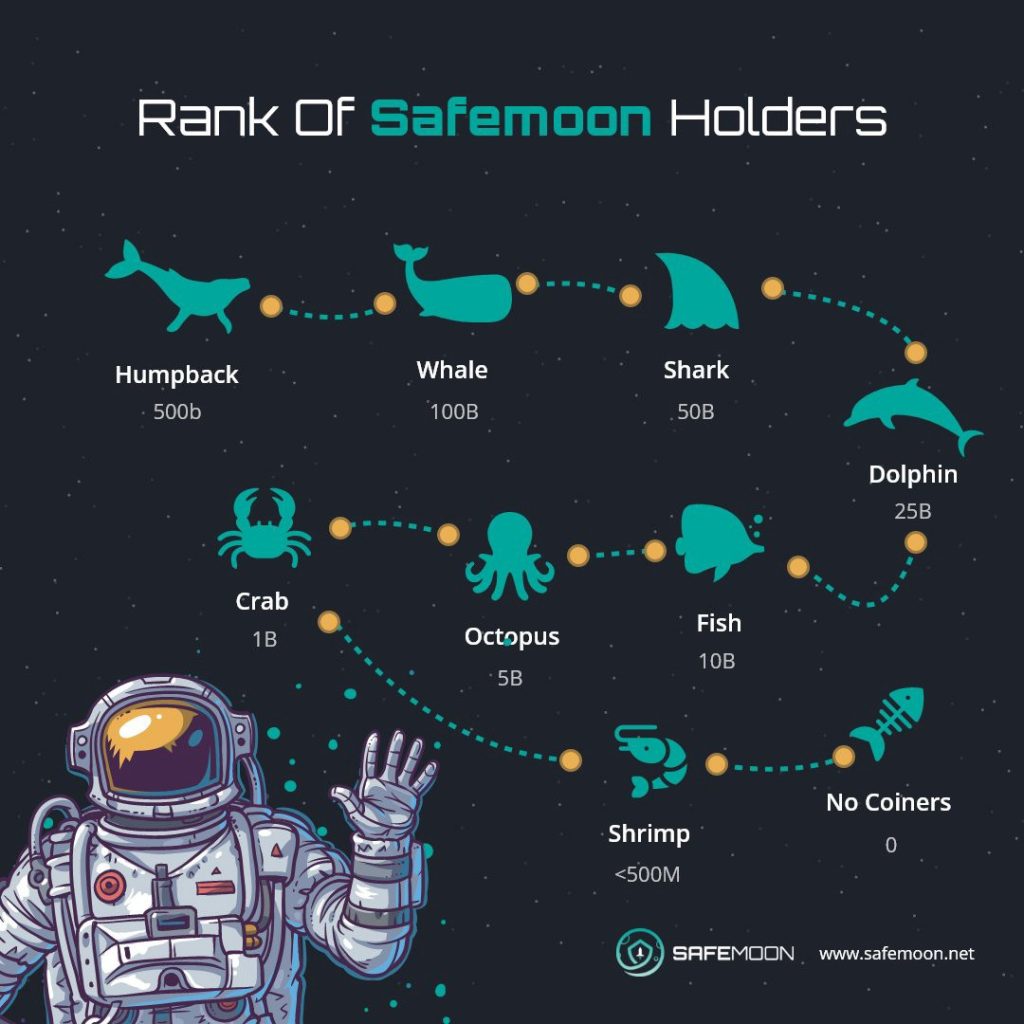 SafeMoon is a risky investment because of high volatility
