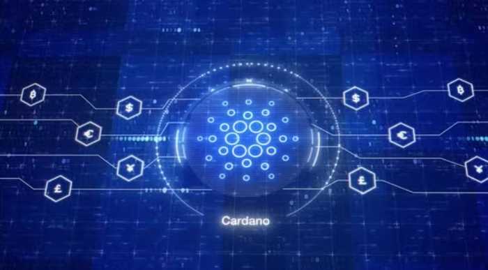 Does Cardano have a future
