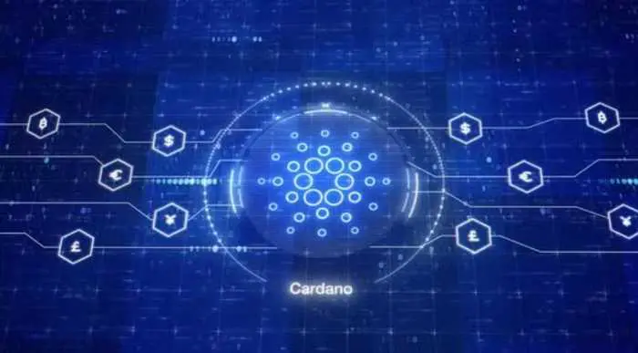 Does Cardano have a future
