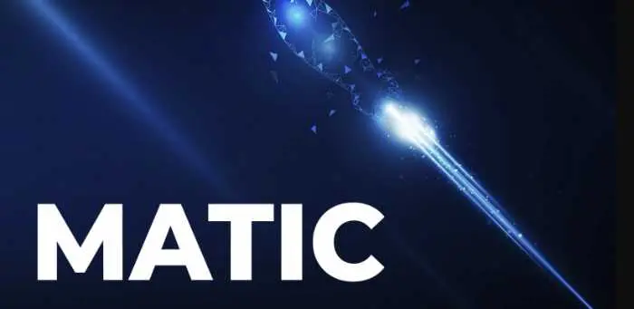 How do you find Polygon cryptocurrency
