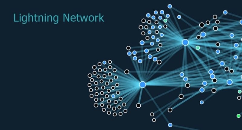 What are Lightning Network nodes