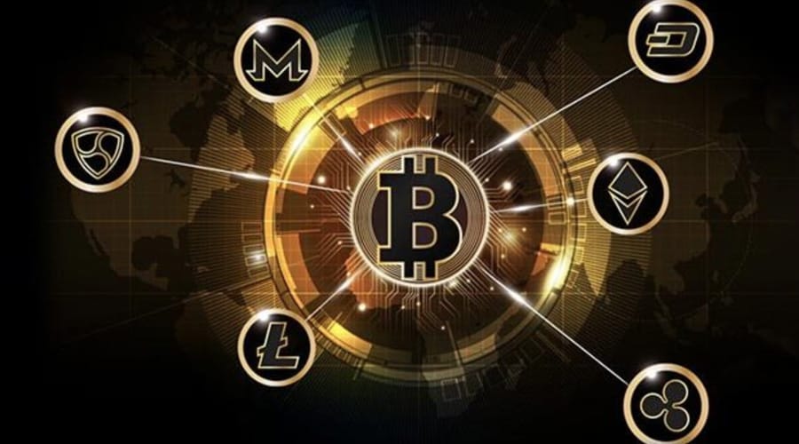 What cryptocurrency will survive