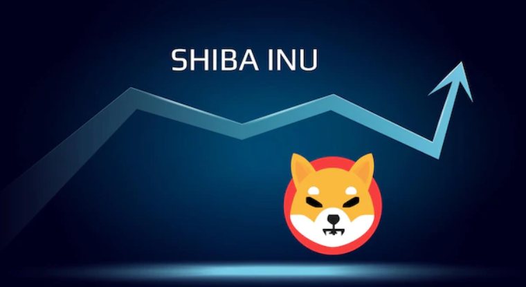 What will the Shiba Inu be like in 2023
