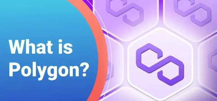 Who owns the Matic coin
