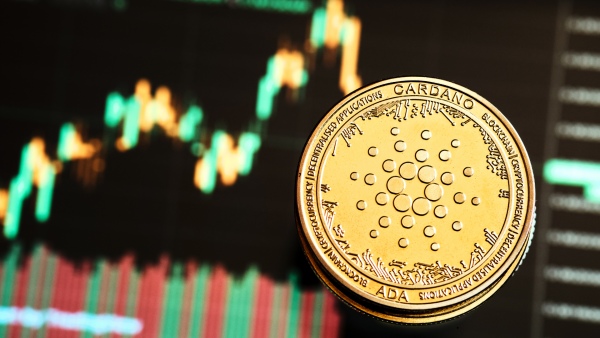 Cardano’s Wallet Growth Spikes