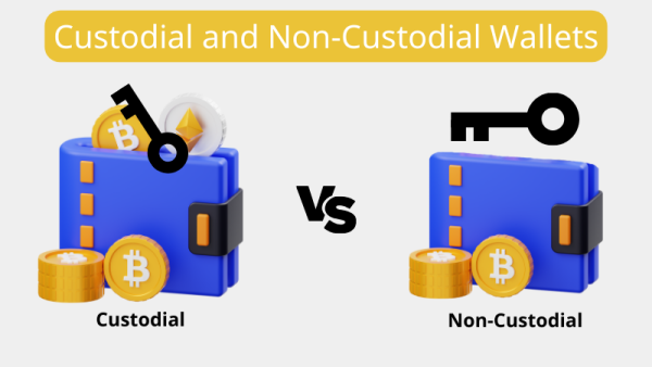 Custodial vs Non-Custodial Wallet