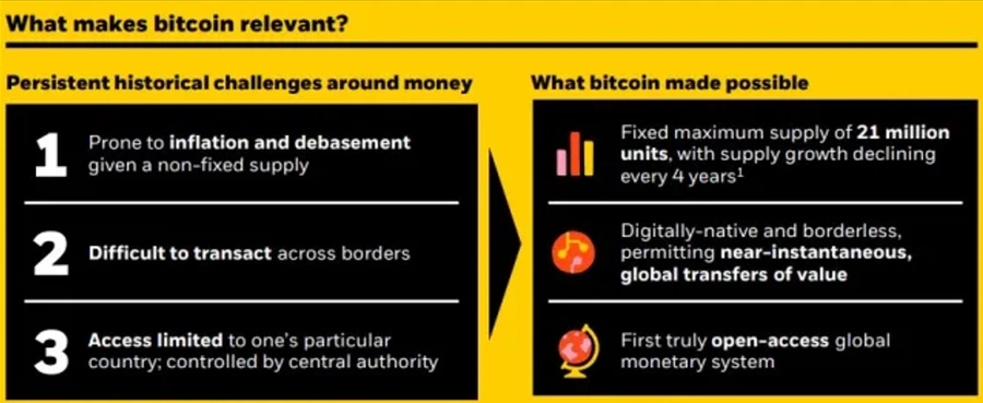 What Makes Bitcoin Relevant.