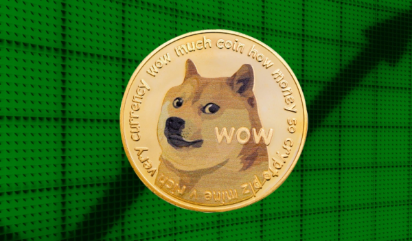 Dogecoin Activity Rises As SpaceX IPO Rumors Spark Interest