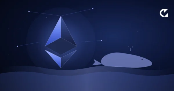 Whales Quietly Bought 230,000 ETH at $2,300 — While Everyone Else Panicked About $2,400