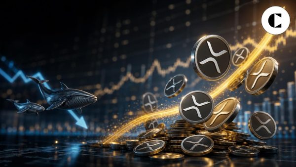 XRP Exchange Inflows Exceed 6 Billion Tokens in 30 Days